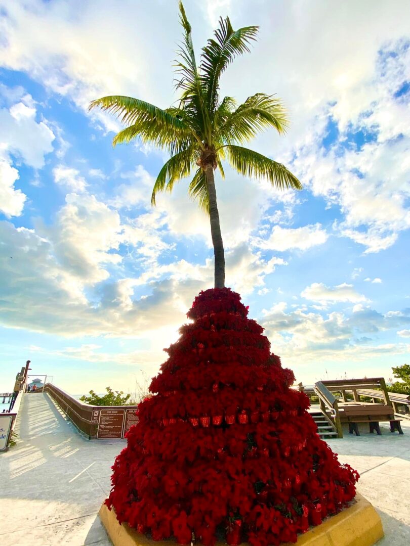 A Tree with Holiday Decoration, The Pier Peddler